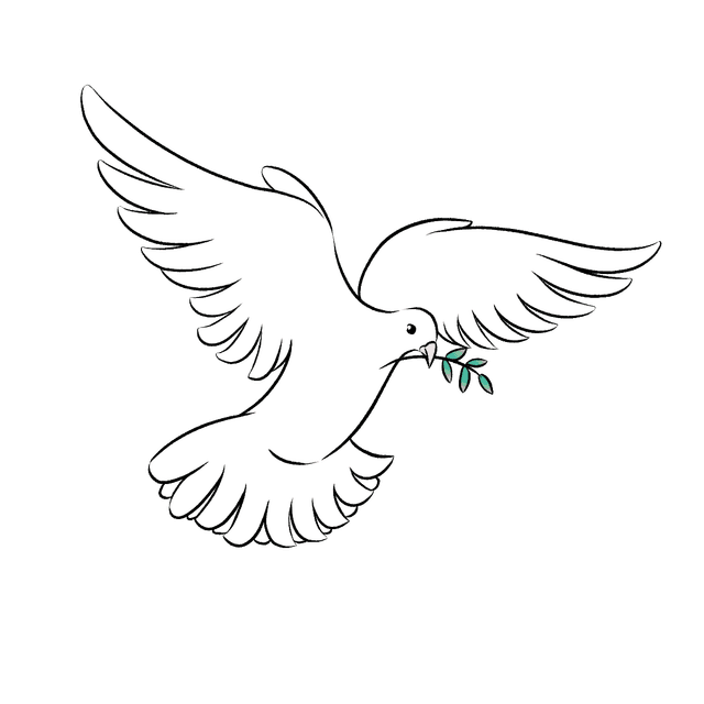 Dove illustration